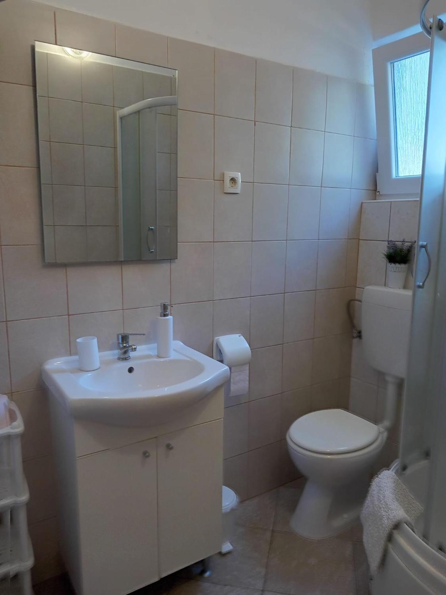 Apartmani Goga Seline Exterior photo